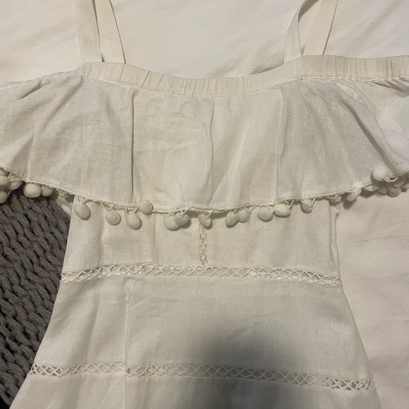 Red Carter white aster pom mini - Picture 3 of 4